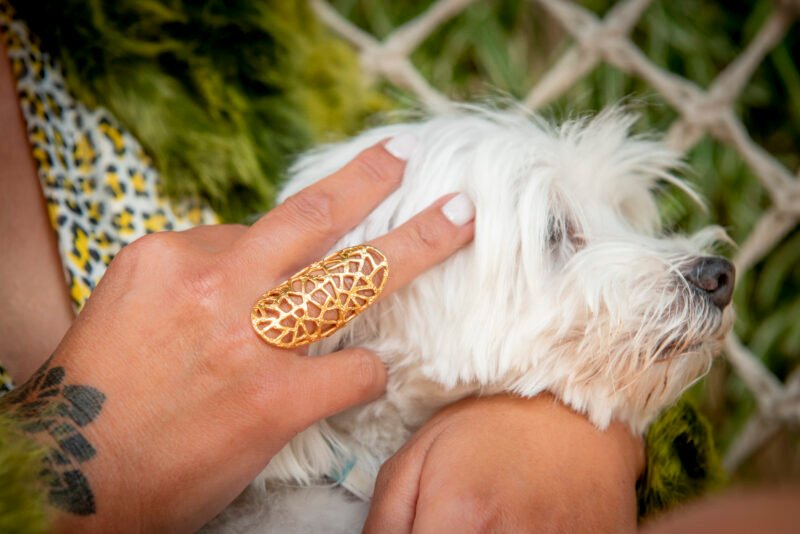 diakladosis gold ring χειροποίητο ασημένιο δαχτυλίδι με επιχρύσωση - Image 3